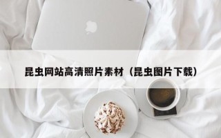 乌鲁木齐昆虫网站高清照片素材（昆虫图片下载）